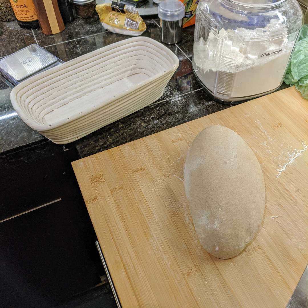 Dough for a sourdough loaf, shaped and resting near a proofing basket
