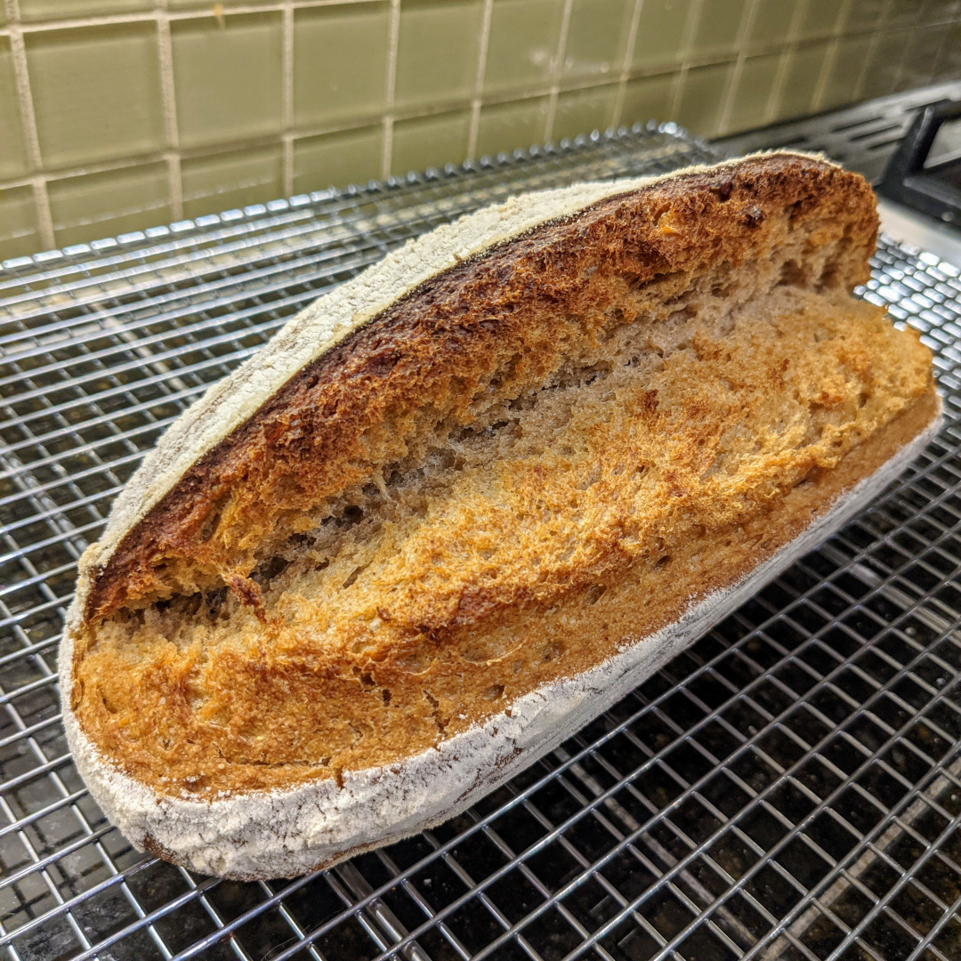 Sourdough