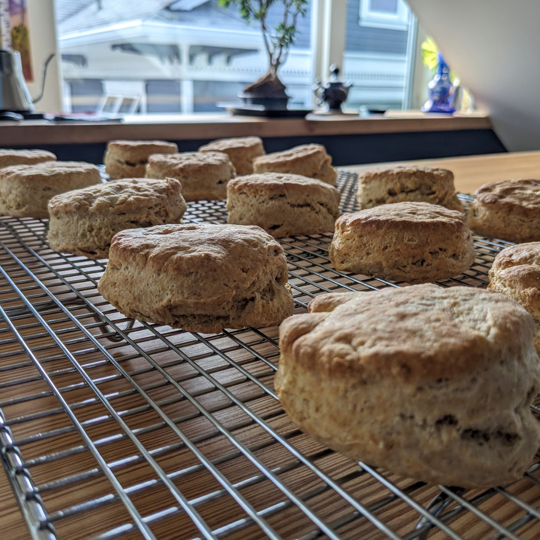 Buttermilk biscuits on a cooling rack in front of a large window